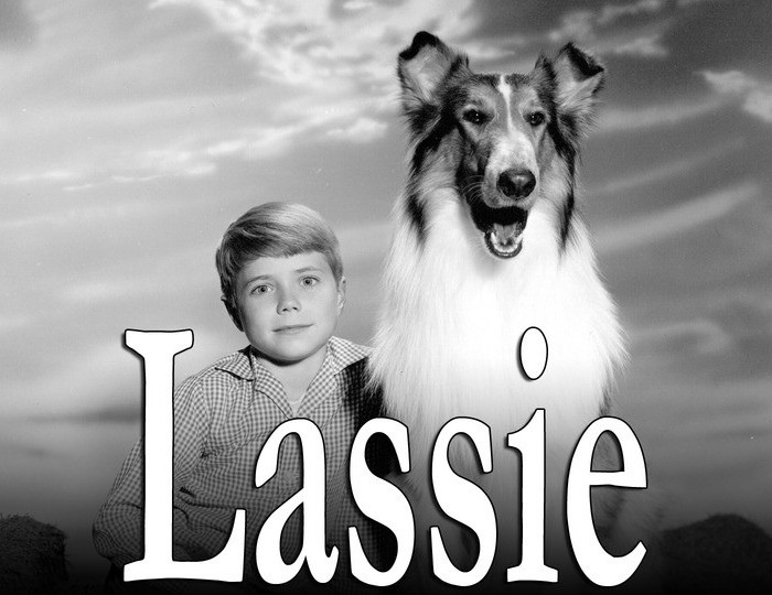 Ga Eens áf Lassie Dickblogt